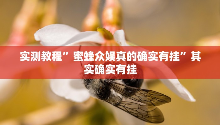 辅助开挂神器“约战丹东麻将怎么开挂”其实确实有挂