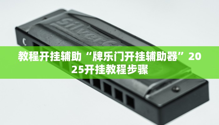 实测教程”牌乐门手机麻将外卦神器下载安装”详细分享装挂步骤教程