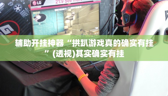 实测教程”家乡大贰开挂器详细开挂教程”其实确实有挂