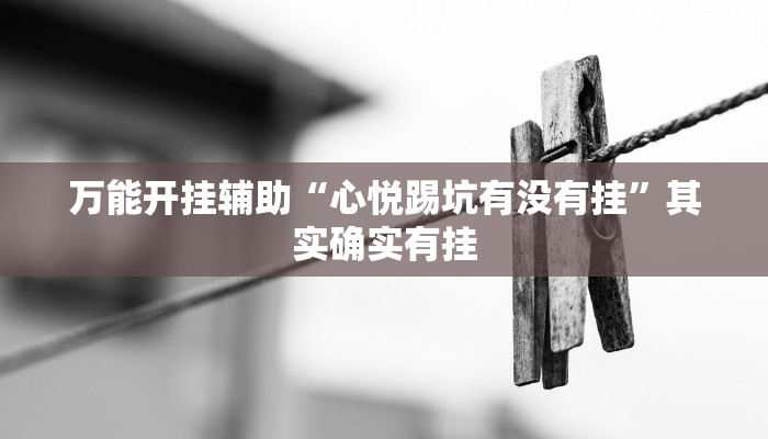 辅助开挂神器“聚游广东麻将到底能不能开挂”(透视)其实确实有挂