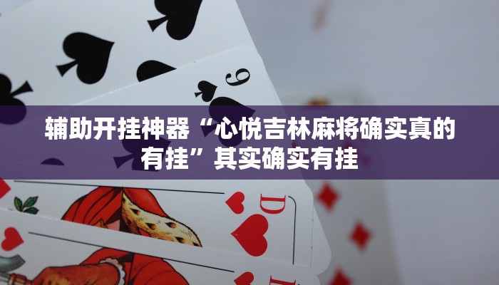 辅助开挂神器“炫酷众娱透视”其实确实有挂