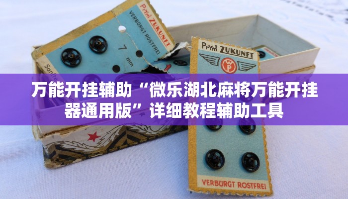 辅助开挂神器“广东闲来麻将开挂器”详细分享装挂步骤教程 辅助开挂神器“广东闲来麻将开挂器”详细分享装挂步骤教程