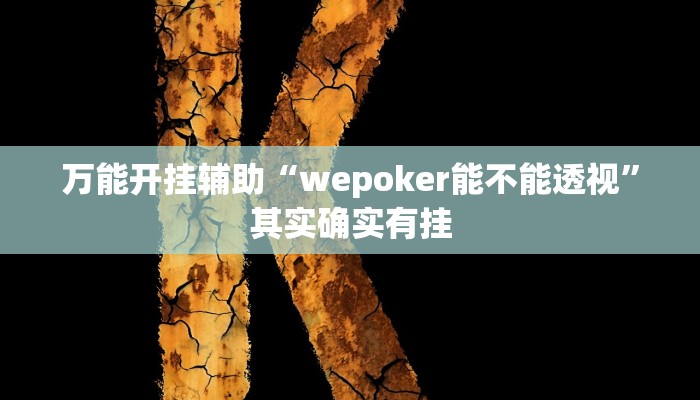 实测教程”wepoker德州辅助软件 ”(透视)其实确实有挂