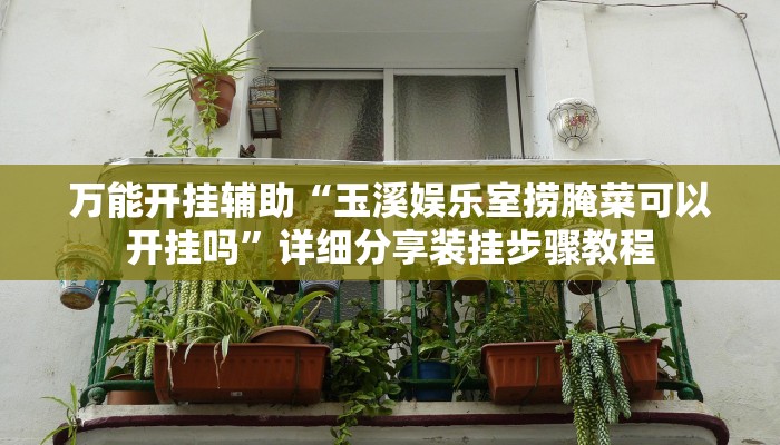 万能开挂辅助“玉溪娱乐室捞腌菜可以开挂吗”详细分享装挂步骤教程