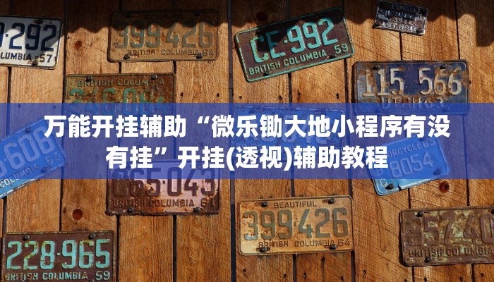 辅助开挂神器“一品互娱透视挂”详细分享装挂步骤教程