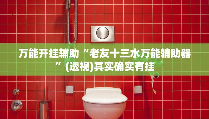 辅助开挂神器“德扑之星作弊透视安卓版”(透视)其实确实有挂