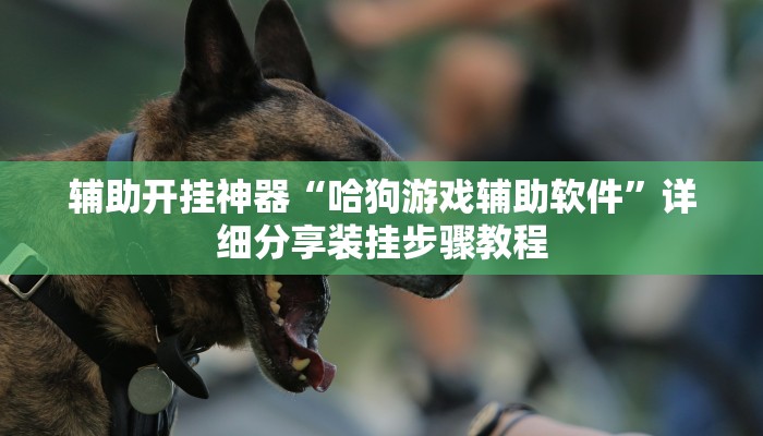 辅助开挂神器“微乐麻将万能开挂器”(透视)其实确实有挂