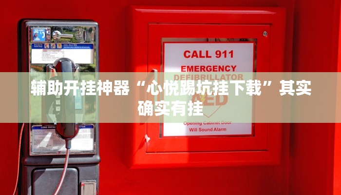 辅助开挂神器“心悦踢坑挂下载”其实确实有挂