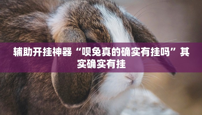 辅助开挂神器“呗兔真的确实有挂吗”其实确实有挂