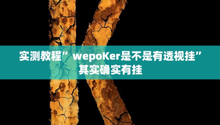 实测教程”wepoKer是不是有透视挂”其实确实有挂