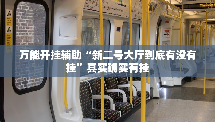 实测教程”新永和大厅透视软件”(透视)其实确实有挂