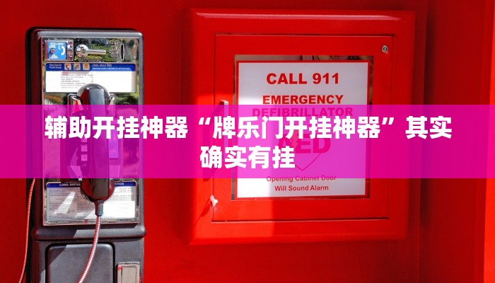 辅助开挂神器“畅玩十三张开挂辅助软件”详细分享装挂步骤教程