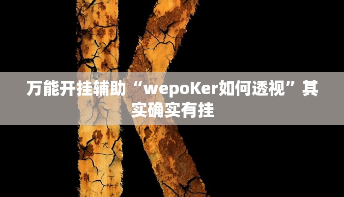 万能开挂辅助“wepoKer如何透视”其实确实有挂