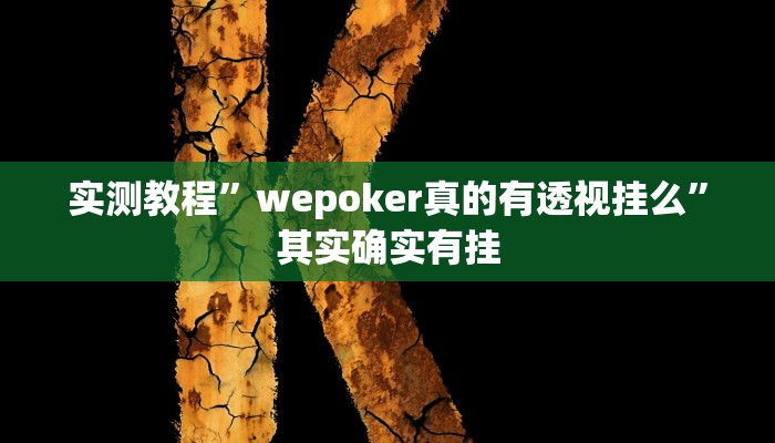 实测教程”wepoker真的有透视挂么”其实确实有挂