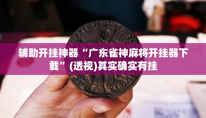 辅助开挂神器“广东雀神麻将开挂器下载”(透视)其实确实有挂