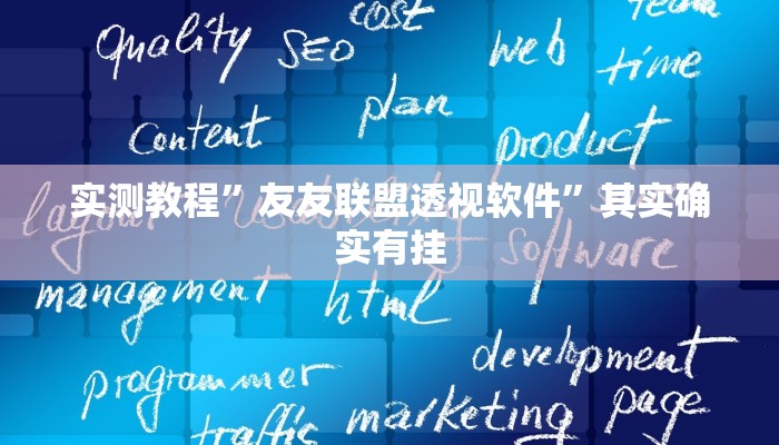 实测教程”友友联盟透视软件”其实确实有挂