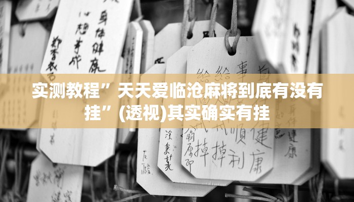 万能开挂辅助“吉祥麻将外卦神器通用”其实确实有挂 万能开挂辅助“吉祥麻将外卦神器通用”其实确实有挂