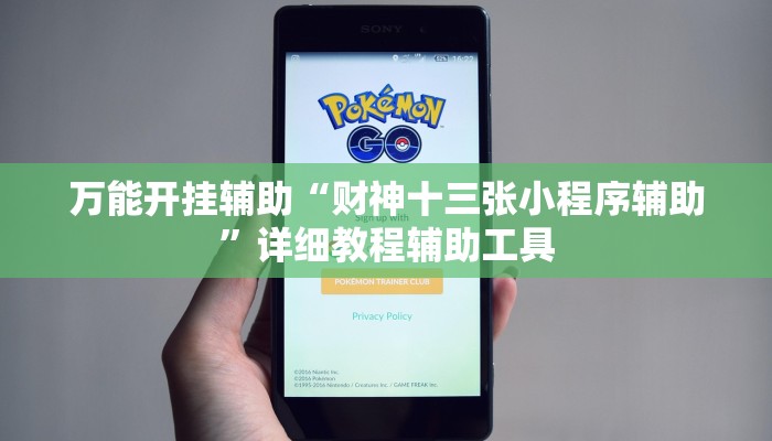 万能开挂辅助“财神十三张小程序辅助”详细教程辅助工具 万能开挂辅助“财神十三张小程序辅助”详细教程辅助工具