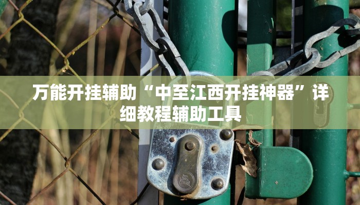 万能开挂辅助“中至江西开挂神器”详细教程辅助工具