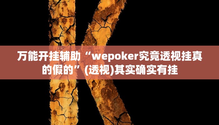 辅助开挂神器“旅途四川麻将有没有透视挂”(透视)其实确实有挂