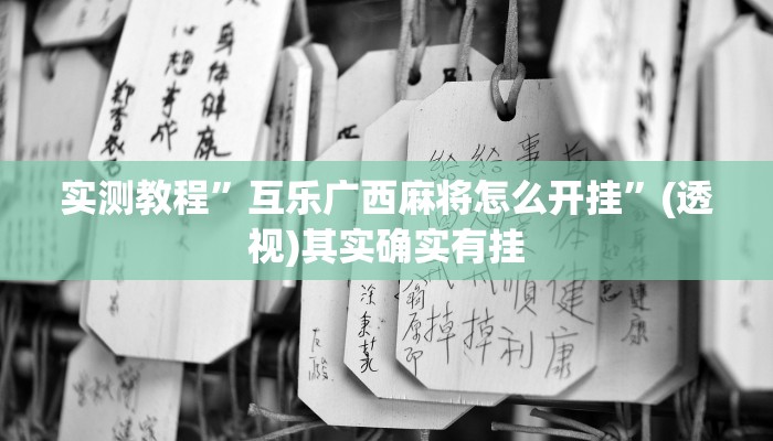 实测教程”福建天天开心辅助”(透视)其实确实有挂