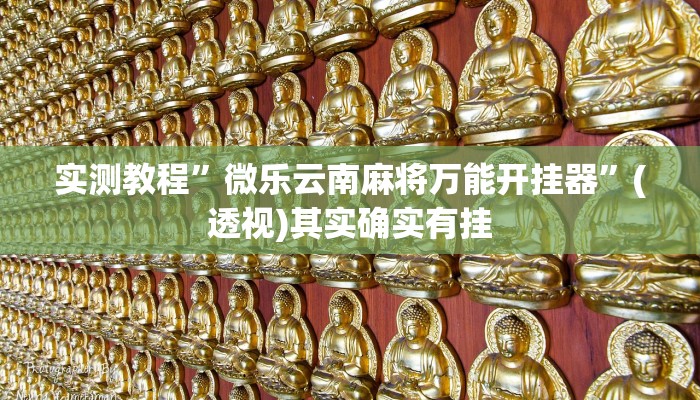 辅助开挂神器“微乐保皇辅助开挂神器”其实确实有挂