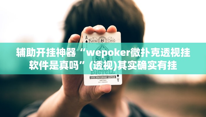 辅助开挂神器“wepoker微扑克透视挂软件是真吗”(透视)其实确实有挂