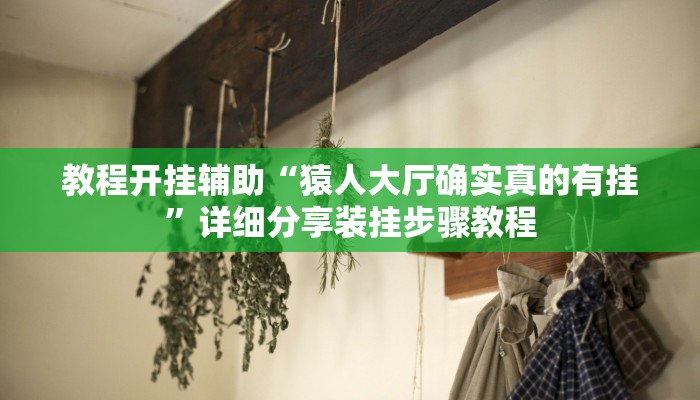 实测教程”微乐窝龙开挂下载安装”详细分享装挂步骤教程