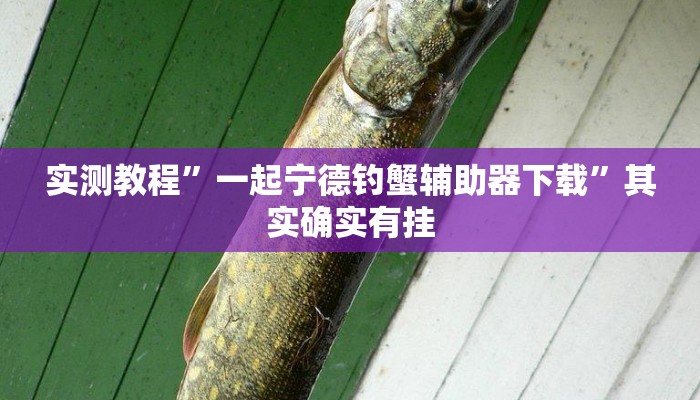 辅助开挂神器“中至麻将开挂软件”(透视)其实确实有挂