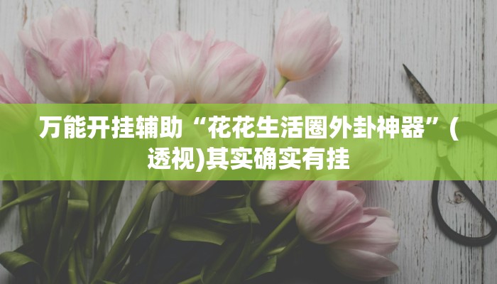 实测教程”朋朋棋牌开挂方法”其实确实有挂