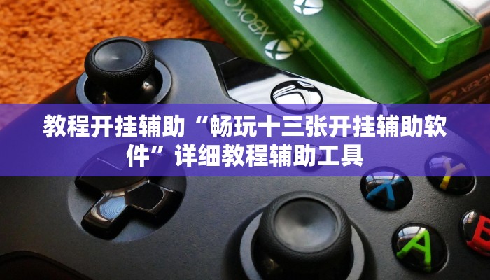 教程开挂辅助“畅玩十三张开挂辅助软件”详细教程辅助工具