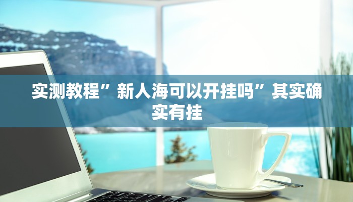 实测教程”新人海可以开挂吗”其实确实有挂