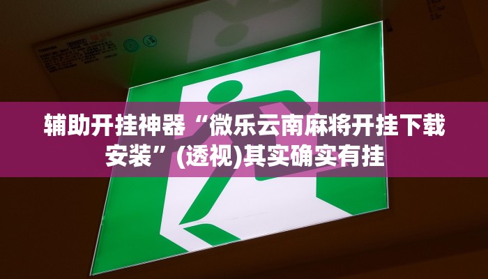 万能开挂辅助“畅享徐州麻将怎么开挂教程”(透视)其实确实有挂