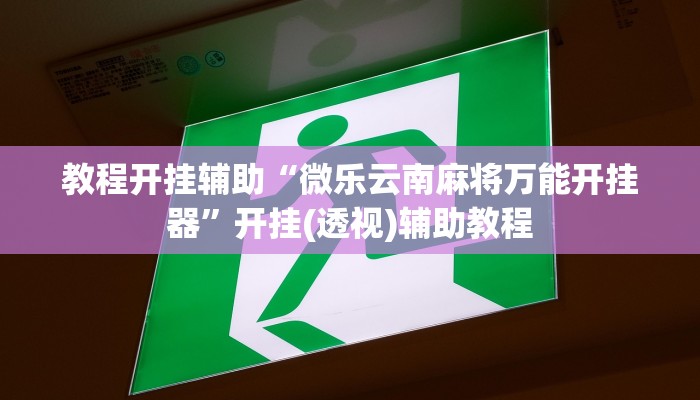 万能开挂辅助“微乐辅助神器开挂教程”(透视)其实确实有挂