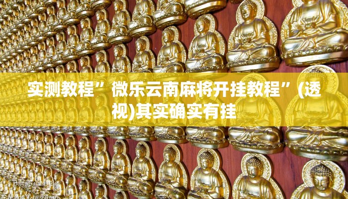 实测教程”微乐云南麻将开挂教程”(透视)其实确实有挂