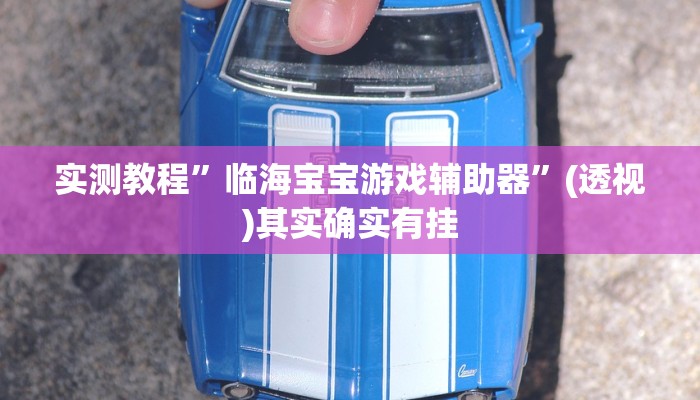 辅助开挂神器“悠悠系列开挂器”(透视)其实确实有挂