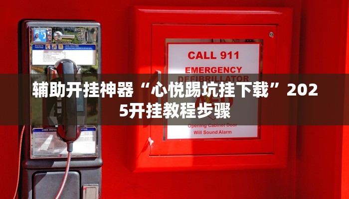 辅助开挂神器“心悦踢坑挂下载”2025开挂教程步骤