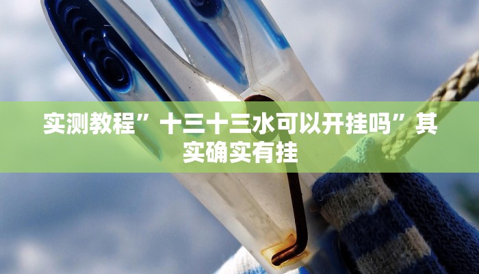 实测教程”十三十三水可以开挂吗”其实确实有挂