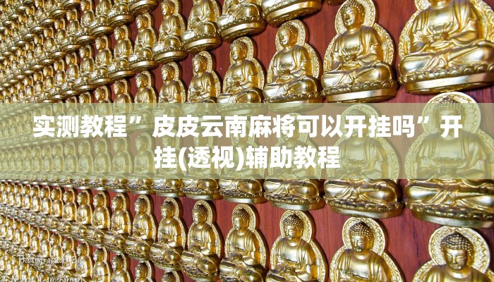 实测教程”皮皮云南麻将可以开挂吗”开挂(透视)辅助教程