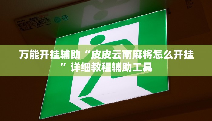 万能开挂辅助“皮皮云南麻将怎么开挂”详细教程辅助工具