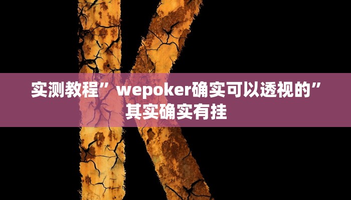 实测教程”wepoker确实可以透视的”其实确实有挂