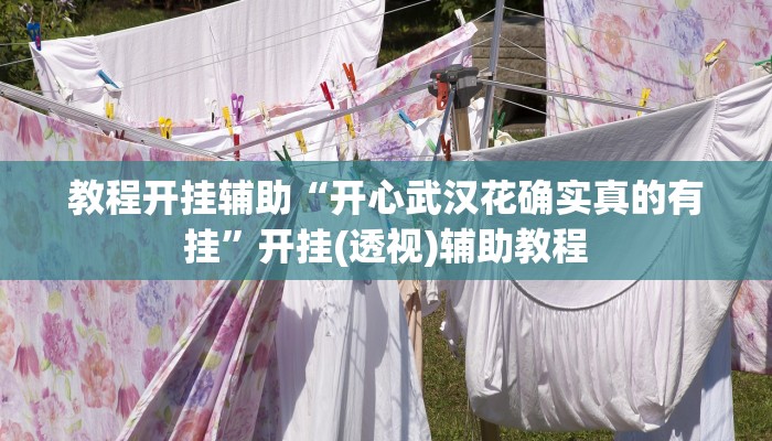 教程开挂辅助“开心武汉花确实真的有挂”开挂(透视)辅助教程