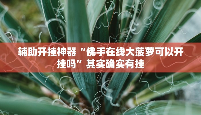 辅助开挂神器“佛手在线大菠萝可以开挂吗”其实确实有挂