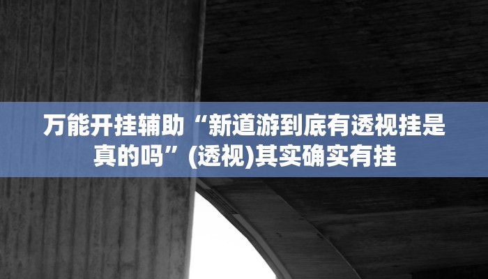 万能开挂辅助“新道游到底有透视挂是真的吗”(透视)其实确实有挂