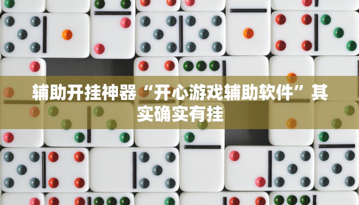 辅助开挂神器“开心游戏辅助软件”其实确实有挂