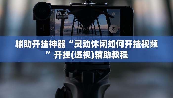 辅助开挂神器“灵动休闲如何开挂视频”开挂(透视)辅助教程