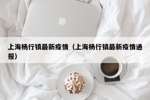 上海杨行镇最新疫情(上海杨行镇最新疫情通报)